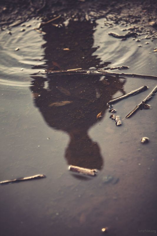 Photo by Trevor Gerzen on Unsplash