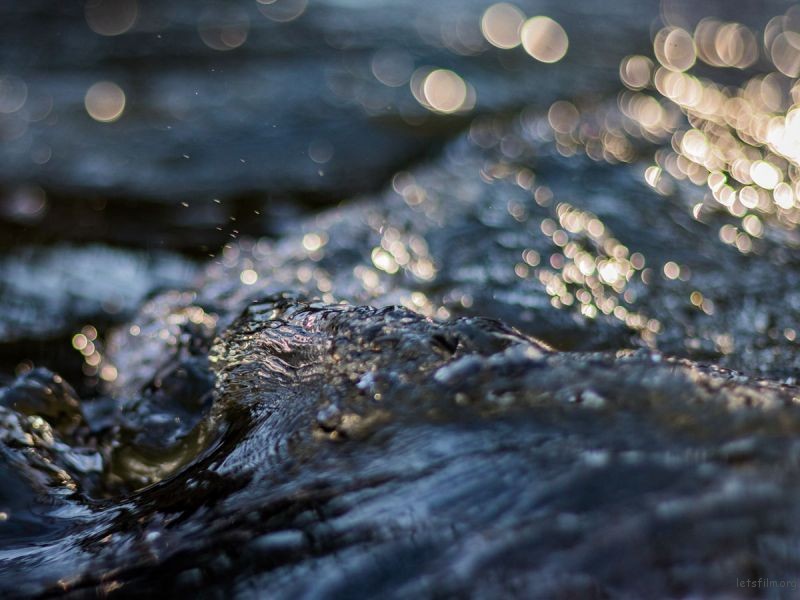 Photo by Greg Rosenke on Unsplash